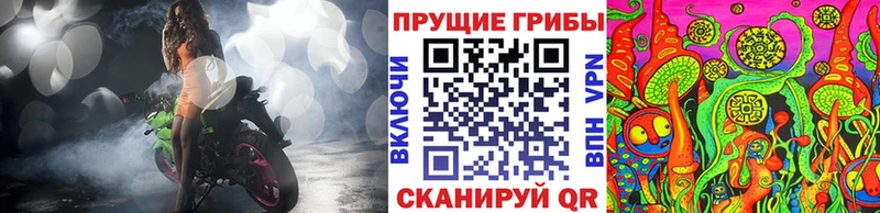 цены наркотик  Сегежа  Псилоцибиновые грибы Psilocybe 