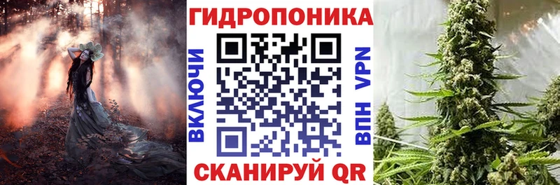 купить  цена  Сегежа  Канабис MAZAR 